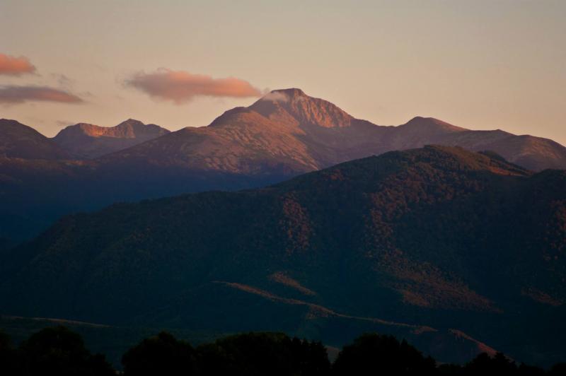 Cum foloseÈ™ti fotocolaj, Ã®n cÃ¢È›iva paÈ™i
